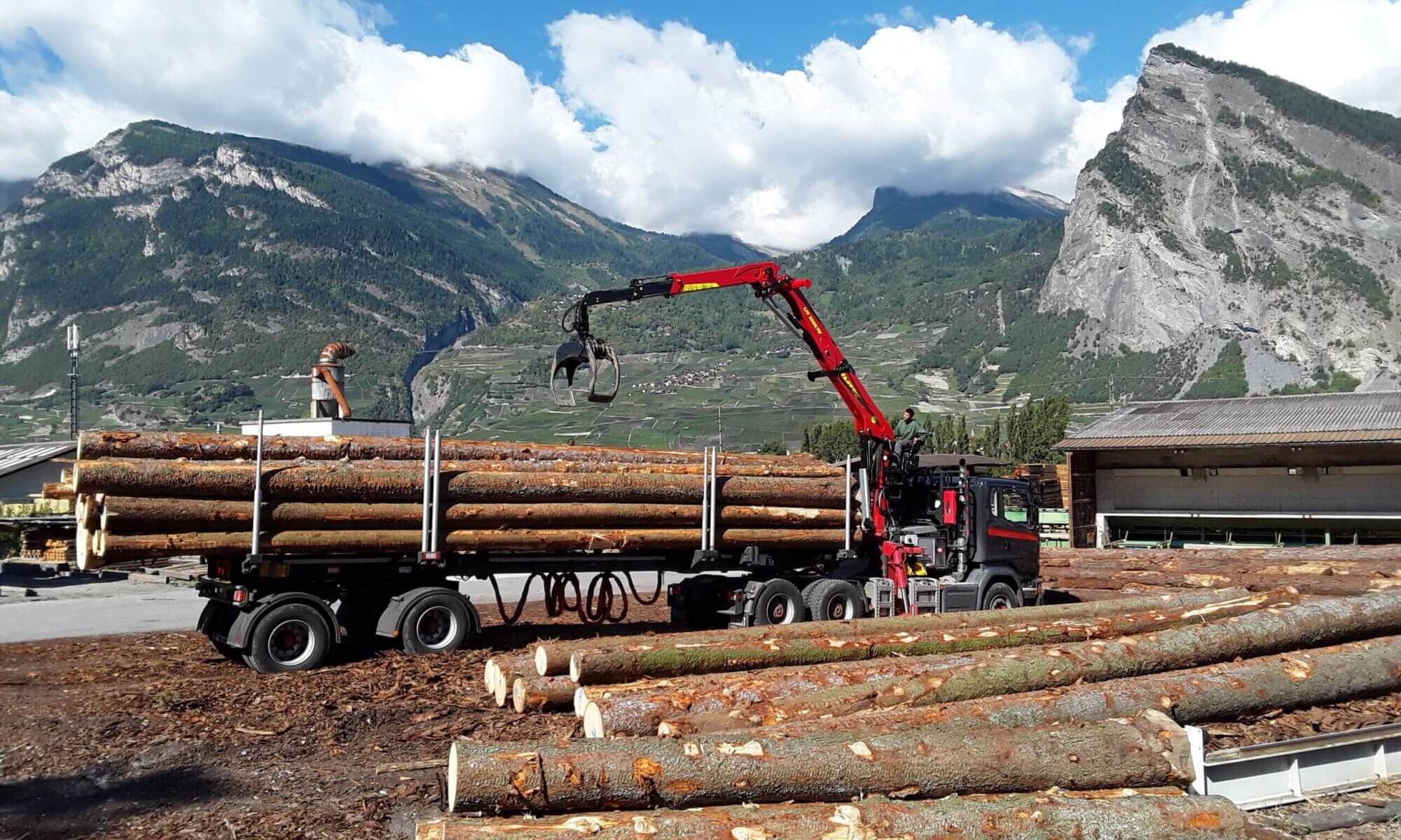 LKW Pavic | Holztransporter Forst Ladekrane Baustoff